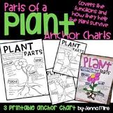 parts of a plant anchor chart worksheets teaching