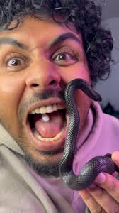 Kalyani’s Feeding time 🐍, ., ., ., #snake #instagram