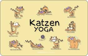 Katzen Sprüche Yoga Frühstücksbrettchen 142x233