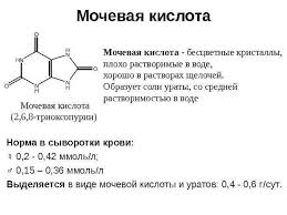 Mochevaya Kislota V Krovi Povyshena Prichiny Simptomy I Lechenie U Zhenshin I Muzhchin
