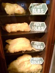 20lbs Of Fat Dust Has No Calories