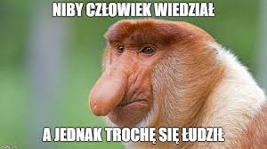 Rafał brzozowski w programie tv. Na To Poszly 2 Miliardy Zlotych Zawiedzeni Polacy Tworza Memy O Rafale Brzozowskim I Jego Wystepie Na Eurowizji 2021