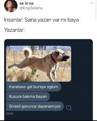 Olum Yapmayin Ya 2020 Komik Seyler Komik Yaya