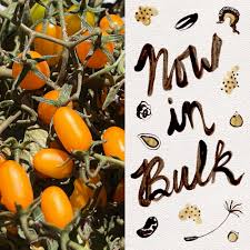 Image result for tomato Datterino