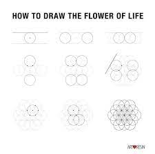 How Can I Draw The Flower Of Life? | Flower Of Life, Sacred Geometry Art,  How To Draw Sacred Geometry