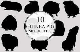Pin On Land Animals Silhouettes