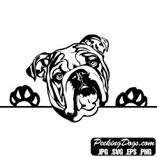 Black And White Bulldog Clipart Beautiful English Bulldog Peeking Dog Designs Make Money Sell Products Spreadshirt Cafepress Zazzle Redbubble 20 Off Coupo English Bulldog Bulldog Dog Design