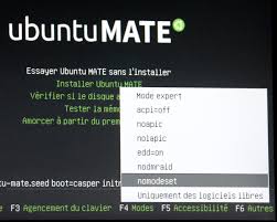 Résultat de recherche d'images pour "ubuntu nomodeset"