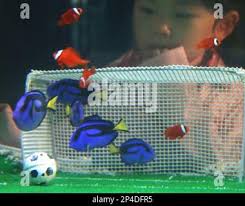 Tropical fish play a soccer game at Yokohama Hakeijima Sea Paradise in  Kanagawa Prefecture