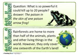 Rainforest Did You Know Cards Teaching Ideas