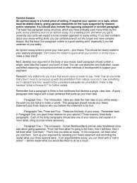 You want to declare your intentions in position: Opinion Essay Sample Opinion Essays