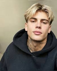 Harry Wicks's Instagram, Twitter & Facebook