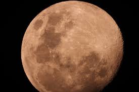 These numbers are important in terms of assessing the overall quality of a digital camera. Coolpix P1000 125 Facher Optischer Zoom 24 3000 Mm Nikon