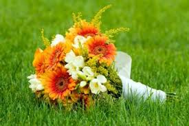 Wedding is an important event in the life of anywomen, even if it happens not once. Gerbera Daisy Bridal Bouquets Lovetoknow