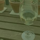 Member Summer Friday Wine and Wander — Western Hills Garden