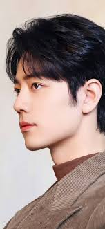 Xiao Zhan's Positive Energy and Dedication to His Dreams