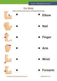 Yuk kita simak saja langsung. Belajar Anak Tubuh Manusia Bahasa Inggris Flashcards For Toddlers School Kids Activities Kindergarten Reading Activities