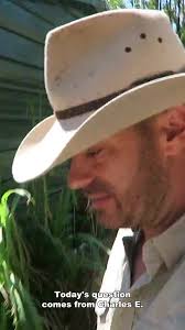 Ask Kenan: How Do You Deal With Aggressive Sulcata Tortoises? #q&a  #reptiles #turtles #animals #wildlife