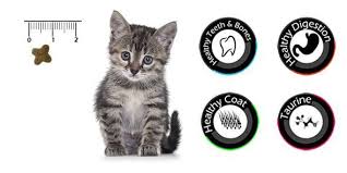 Vancat Kitten Kuzu Etli Yavru Kedi Mamasi 15 Kg 10 Adet Temizlik Mendili Kedi Kuru Mamalari Vancat