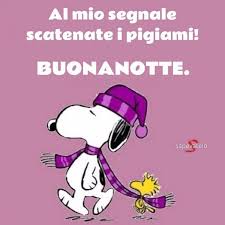 Frasi E Foto Per Augurare La Buonanotte Buona Notte Divertente Citazioni Divertenti Buonanotte