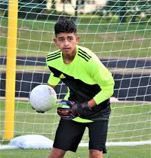 HC tops Triton, 3-1, for county soccer title