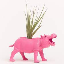 Air Plant Hippo Planter Room Decor College Dorm Ornament Etsy Air Plants Room Decor College Hippo