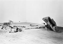 I like america and america likes me 1974 beuys's most famous action took place in may 1974, when he spent three days in a room with a coyote. Joseph Beuys Coyote Photographs By Caroline Tisdall Large Glass