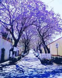 En tlaxcala encontrarás diversos centros de rehabilitación. Tlaxcala Centro Viajes En Mexico Lugares Magicos De Mexico Jacarandas