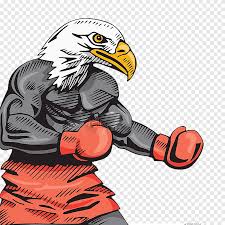 We did not find results for: Bald Eagle Boxing Hawk Illustration Cartoon Robust Eagle Cartoon Character Animals Png Pngegg