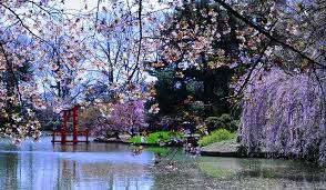 Japan Is Having The Kind Of Spring That Everyone Wants Her Ie Cherry Blossom Festival Japanese Garden Brooklyn Botanical Garden