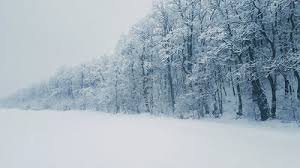 100+ Great Snowstorm Photos Pexels · Free Stock Photos