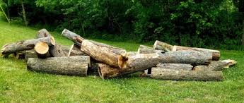 This particular arborist is based right down the street, so they've given me chips several times before when i request chips through chipdrop. Chip Drop Strikes Again Firewood Hoarders Club