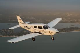 Image result for Piper