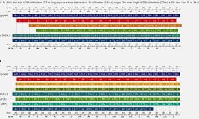 Shoe Size Chart Pdf Shoe Size Conversion Baby European Shoe