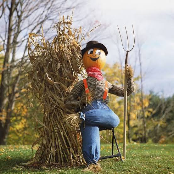 17 DIY Scarecrow Ideas to Make This Fall 2025