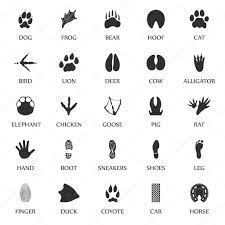 Kleine tiere wale, delfine fische insekten dinosaurier tierbabys 😊. Vektorgrafiken Tierspuren Vektorbilder Tierspuren Depositphotos