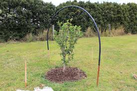 Bird Netting Structures For Fruit Trees Half Arsed Hippies Keeping Birds Off Fruit Trees A Netting Frame Fruit Trees Garden Arch Garden