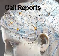 Cell Reports | Journal | ScienceDirect.com by Elsevier