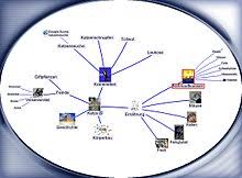 Imports mindmanager, personal brain, freemind, text and folders. Mindmap Wikipedia