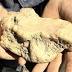 'I couldn't believe my eyes': Victorian prospector unearths 145-ounce ...