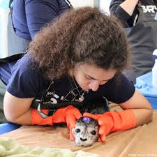 Alexandra De Fermin Cortes