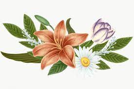 Vintage Flower Bouquet Transparent Png Premium Image By Rawpixel Com Noon Flower Illustration Vintage Flowers Flower Drawing