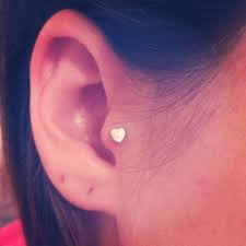 Pin By Leighanne Coleman On Fashion Baybeee Tragus Jewelry Tragus Piercings Tragus Earrings