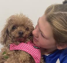 Local leader column with Jodie Ryan from My Plan Connect