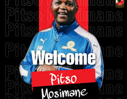 South african premier division kaizer chiefs f.c. Alahly Elyoum Projects Photos Videos Logos Illustrations And Branding On Behance