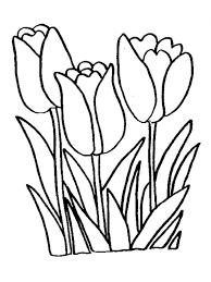 Tulip Coloring Pages For Adults In 2020 Printable Flower Coloring Pages Flower Coloring Pages Flower Printable