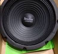 Pyramid WH10 1-Way 10in. Car Subwoofer