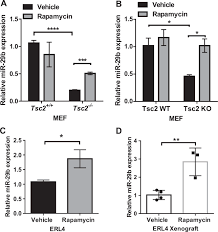 It won a grammy in 2002 for best hard rock performance. Rapamycin Upregulated Mir 29b Promotes Mtorc1 Hyperactive Cell Growth In Tsc2 Deficient Cells By Downregulating Tumor Suppressor Retinoic Acid Receptor B Rarb Oncogene