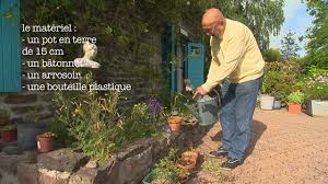 Les auxines et les hormones de bouturage. 4 Coins Au Jardin Bouturer Les Rosiers Anciens