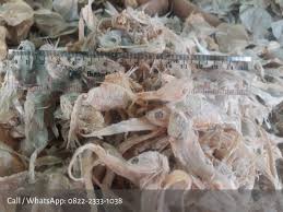 Bulu ayam yang digunakan sebagai bahan dasar pembuatan pelet adalah bulu ayam kering yang telah digiling sehingga serat bulu ayamnya jauh lebih lembut. Jual Ikan Asin Harga Grosir Distributor Nomor 1